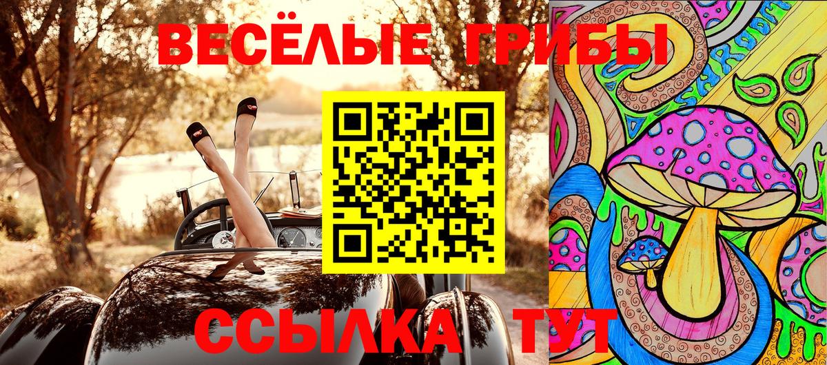 Галлюциногенные грибы мицелий Курчатов